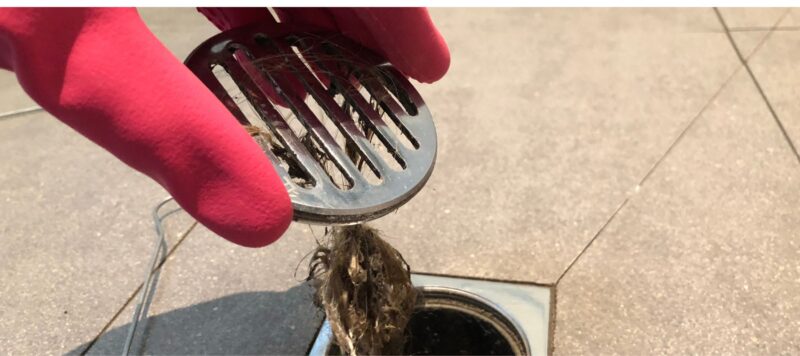 A person wearing pink gloves removing hair and debris from a shower drain cover